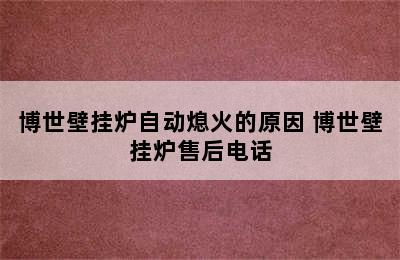 博世壁挂炉自动熄火的原因 博世壁挂炉售后电话